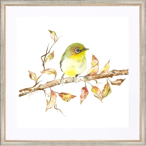 CD- YELLOW WARBLER